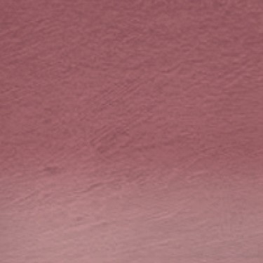 PROCOLOUR NUTMEG 